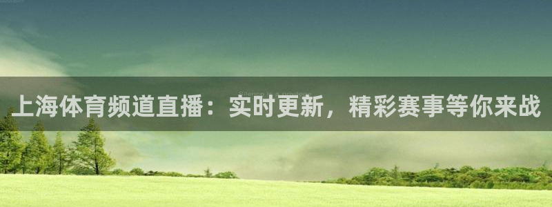 上海体育频道直播：实时更新，精彩赛事等你来战