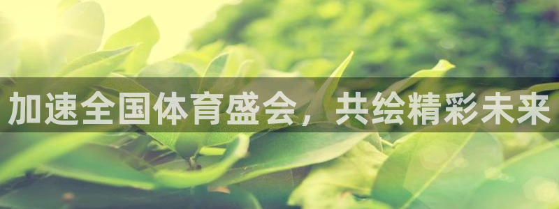 加速全国体育盛会，共绘精彩未来