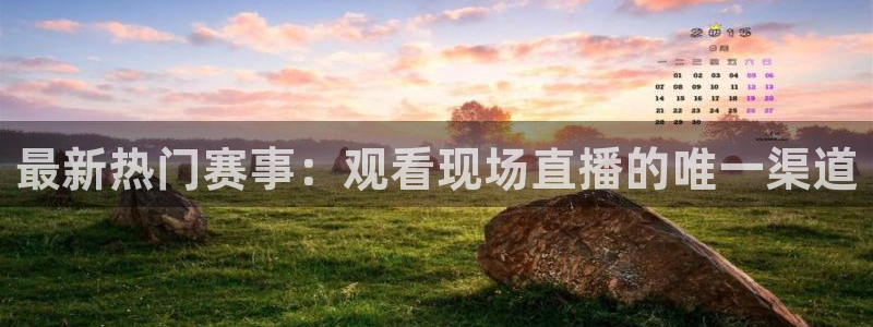 最新热门赛事：观看现场直播的唯一渠道