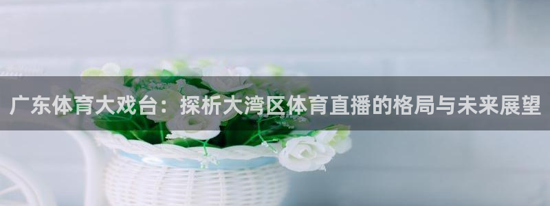 广东体育大戏台：探析大湾区体育直播的格局与未来展望