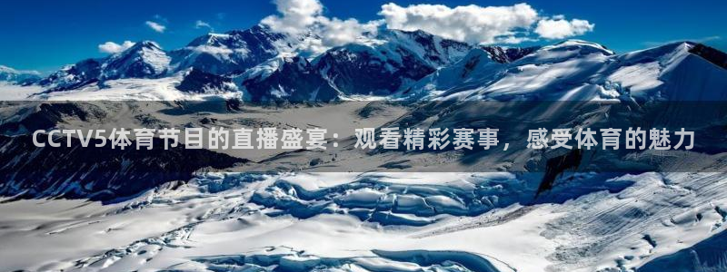 CCTV5体育节目的直播盛宴：观看精彩赛事，感受体育的魅力